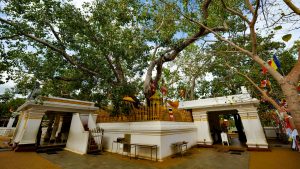 Anuradhapura