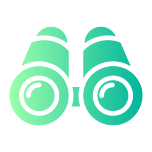 About 11 binoculars 8385418
