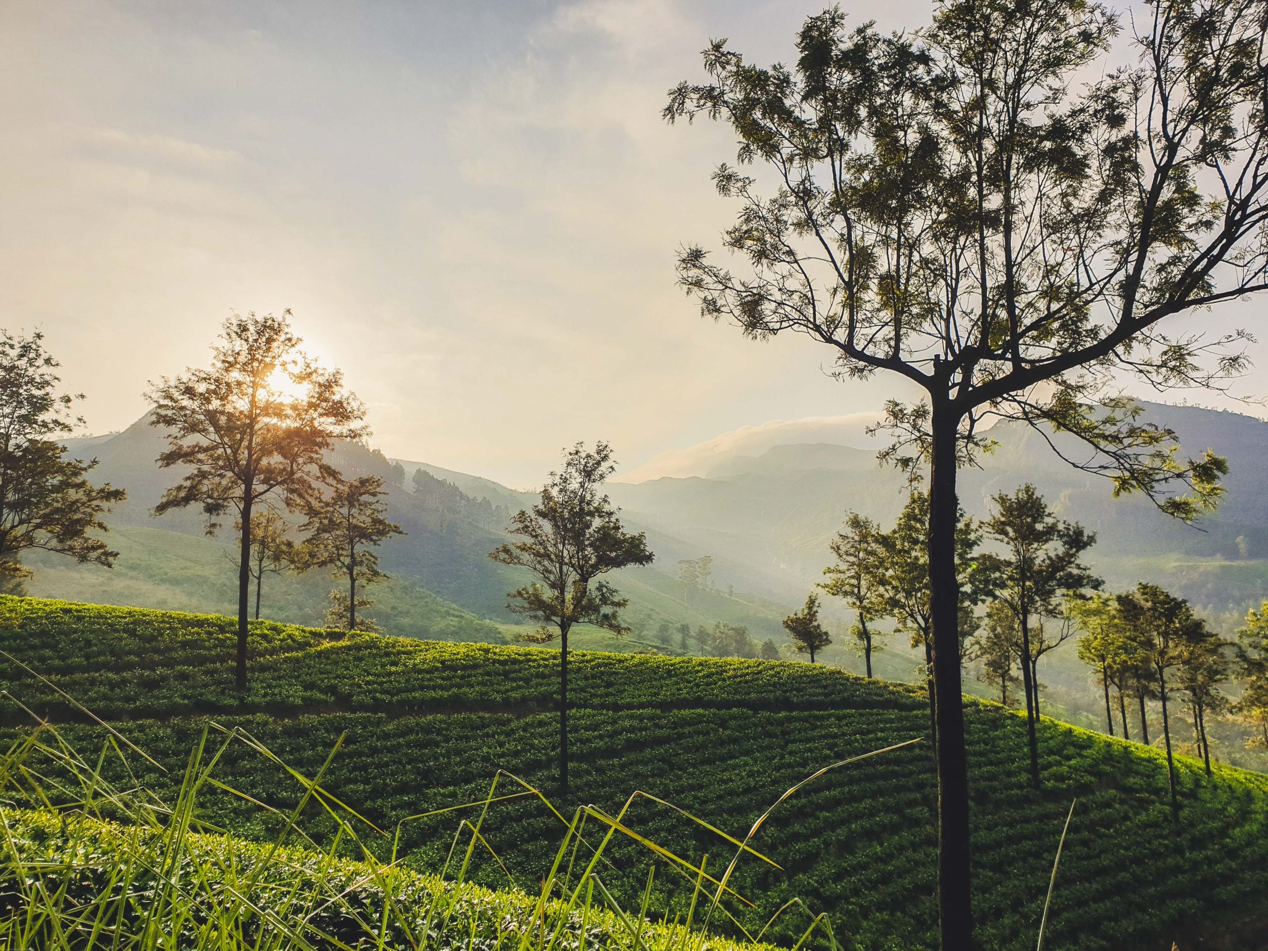 thushal madhushankha ZHlsYKm3sVE unsplash scaled