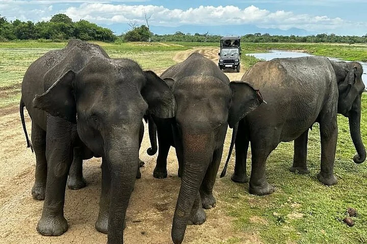 Udawalawe 3
