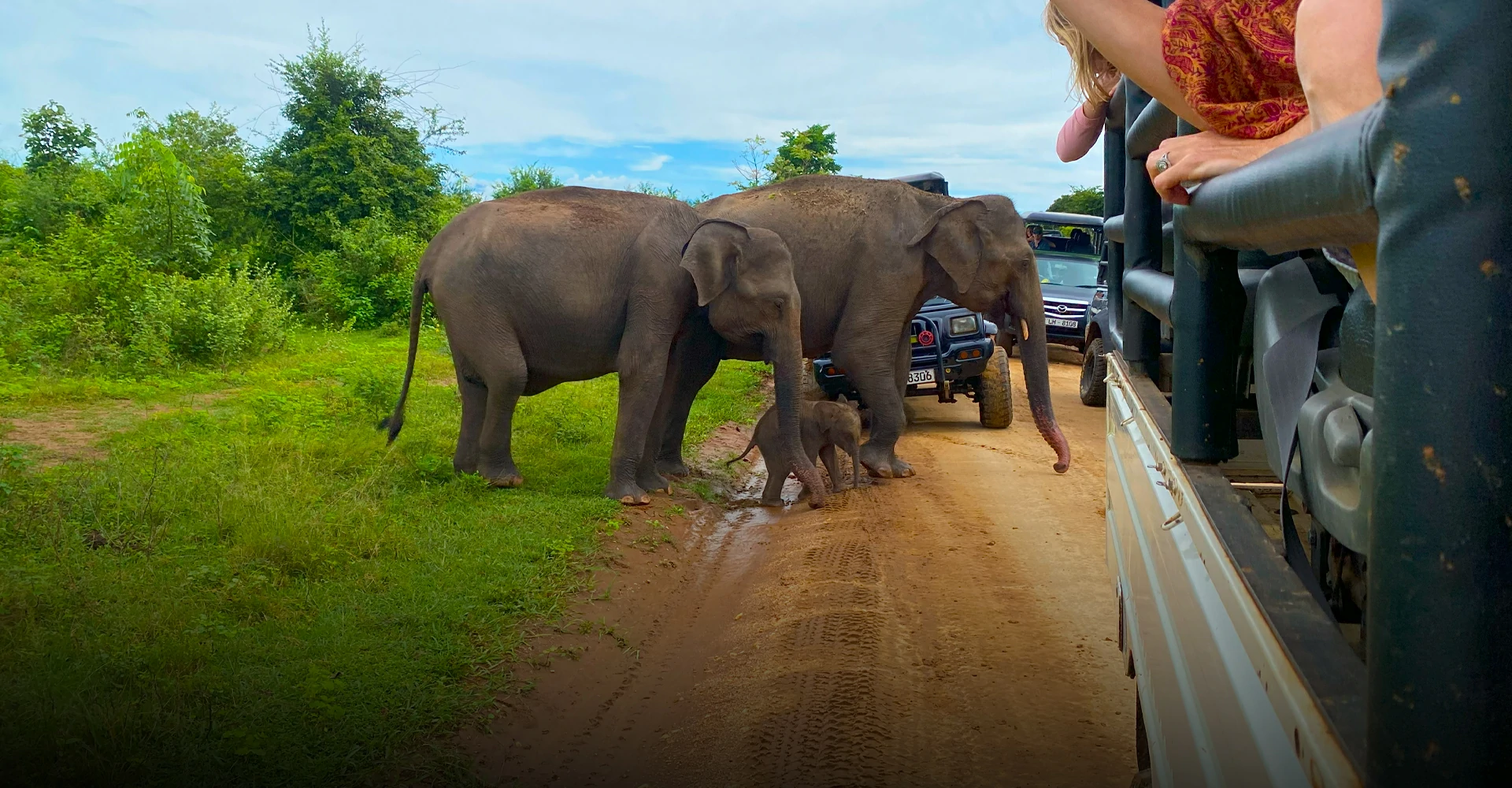 Udawalawe NationalPark