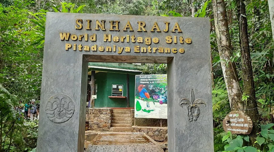 sinharaja rain forest