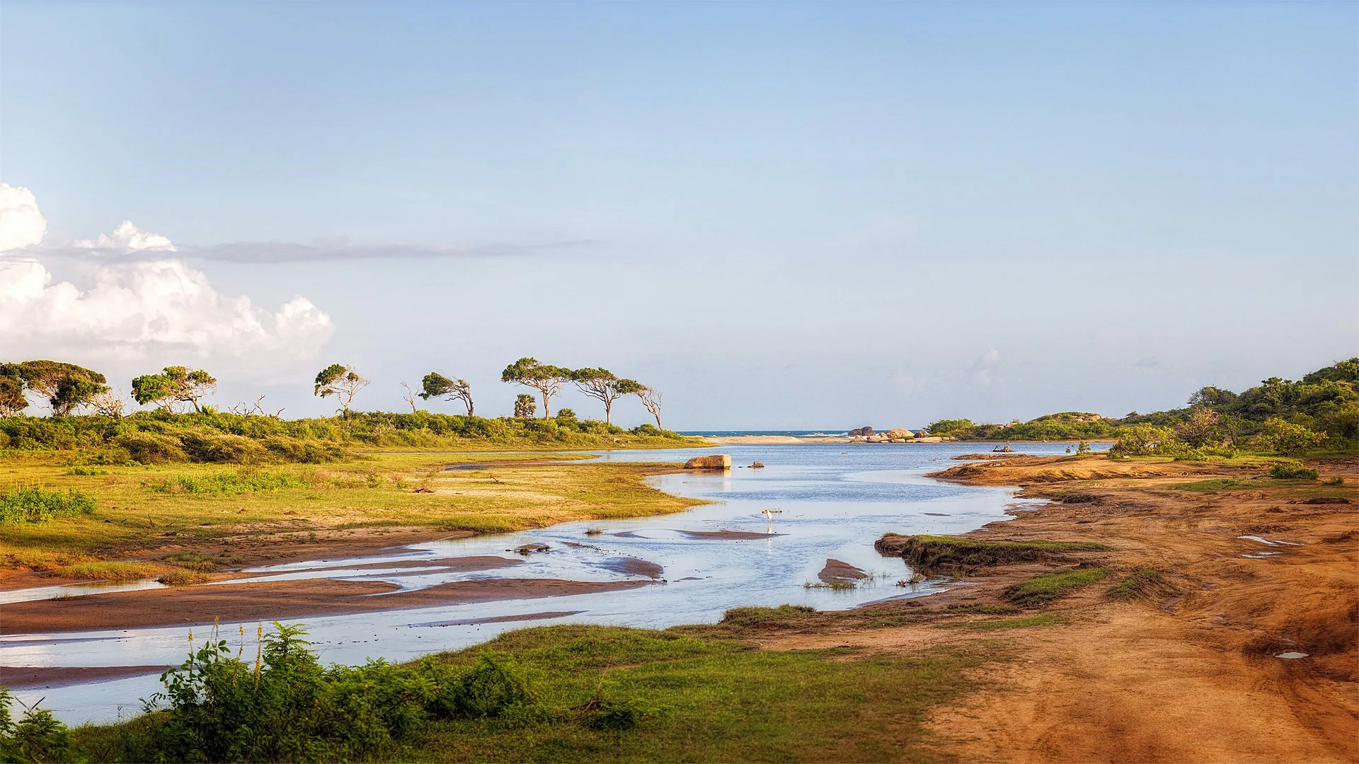 yala national park sri lanka scenery