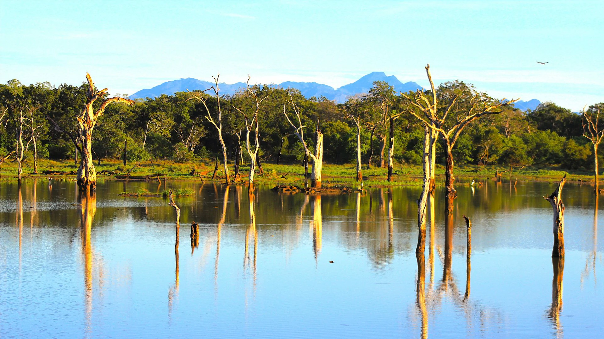 yala national park sri lanka scenery2